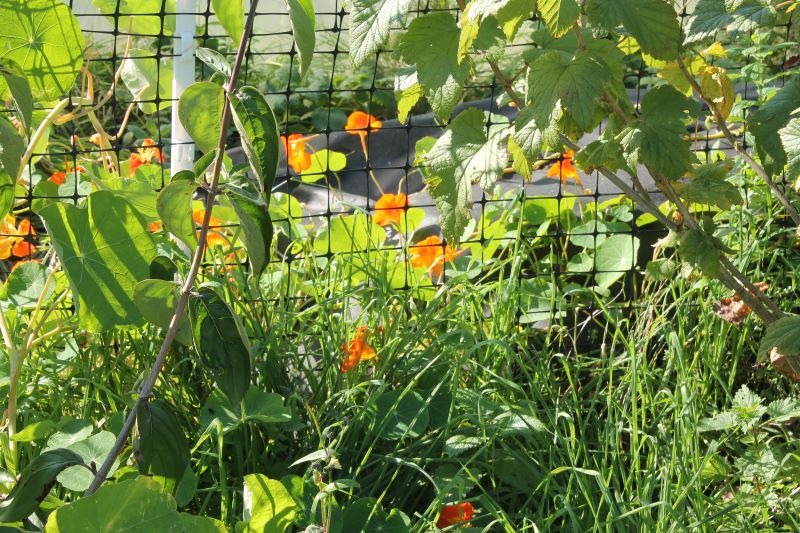 Das Gartenjahr 2021 geht zuende!