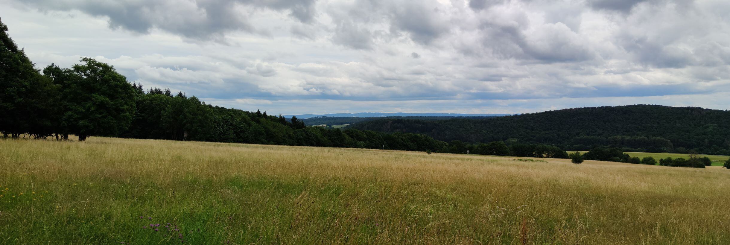 Blick vom Kellerwald Blick vom Kellerwald