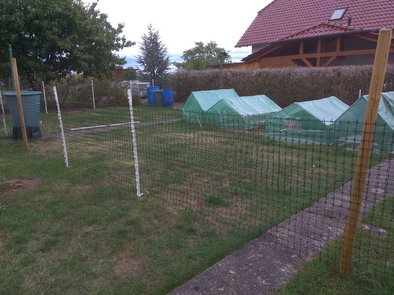 Zaunbau Zaun gegen Hunde
